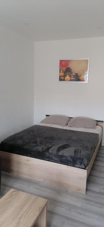 Appartement Avec Balcon Et Parking Prive ロアンヌ エクステリア 写真
